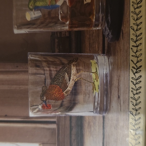 John Derian Multicolor Assorted bird highball Designs Cocktail Glasses 4 pcs Set - Picture 6 of 11